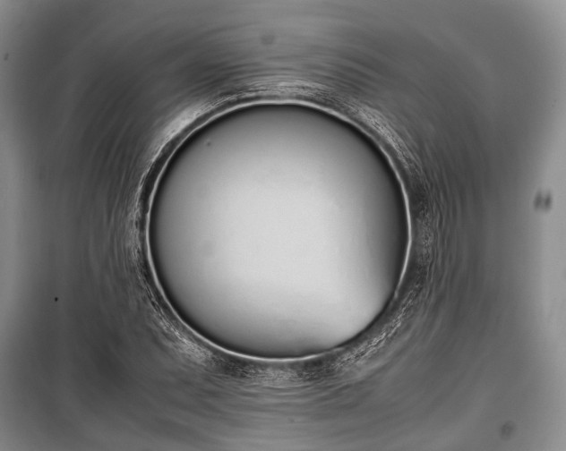 X0000100771071200806261538