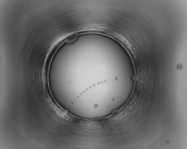 X0000100771072200806261538