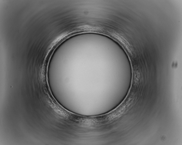 X0000100771074200806261538