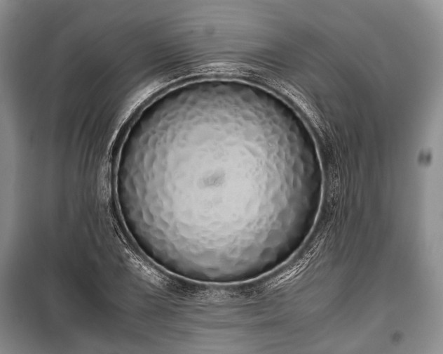 X0000100771075200806261538