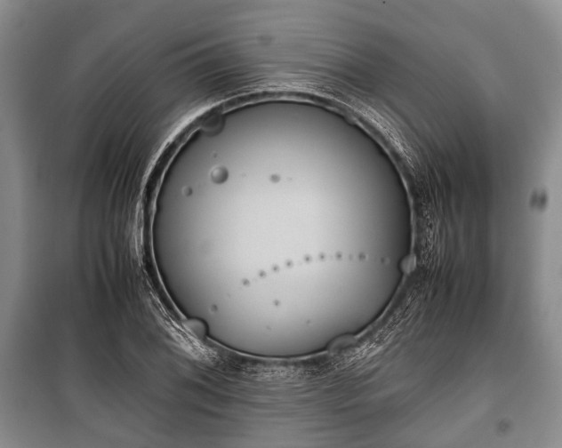 X0000100771076200806261538