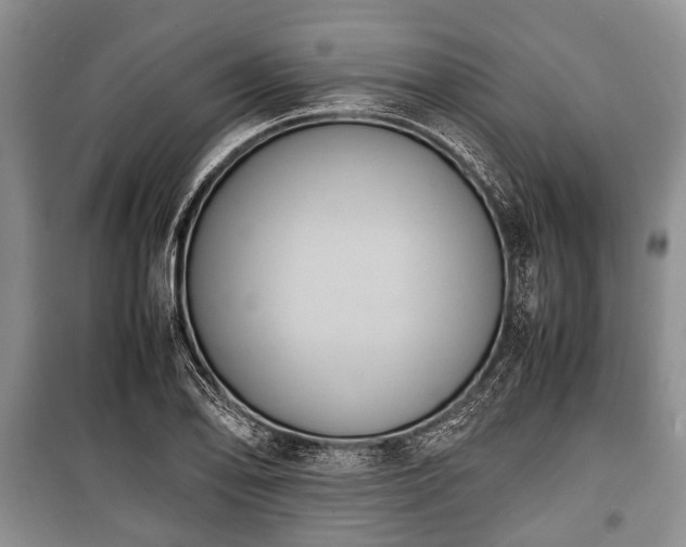 X0000100771078200806261538