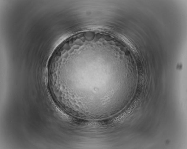 X0000100771079200806261538