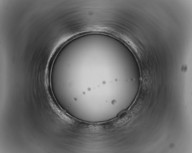 X0000100771080200806261538