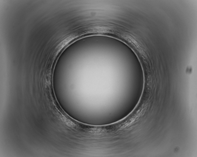 X0000100771081200806261538