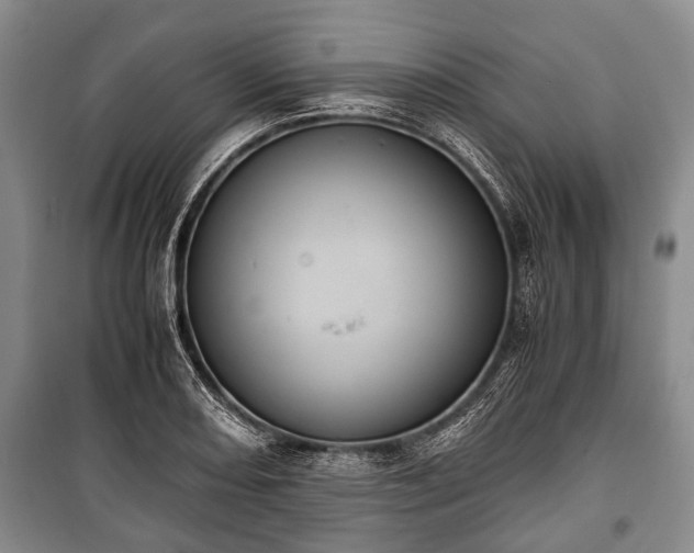 X0000100771082200806261538