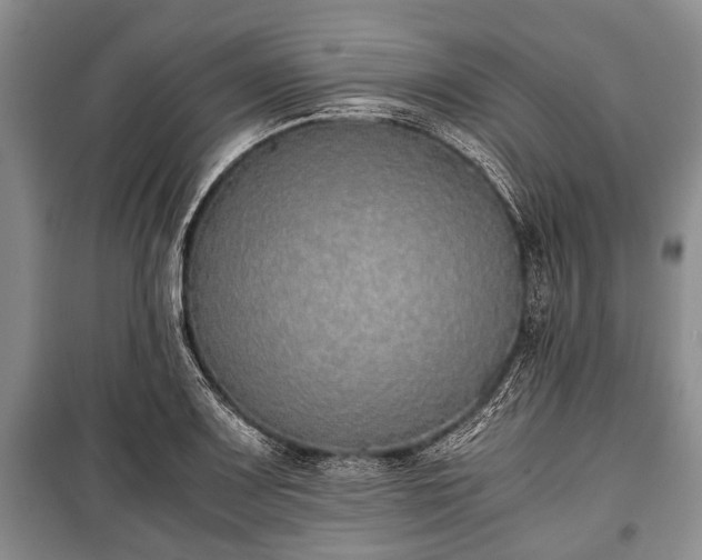 X0000100771083200806261538