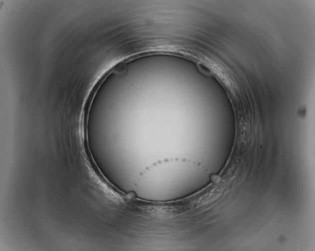 X0000100771084200806261538
