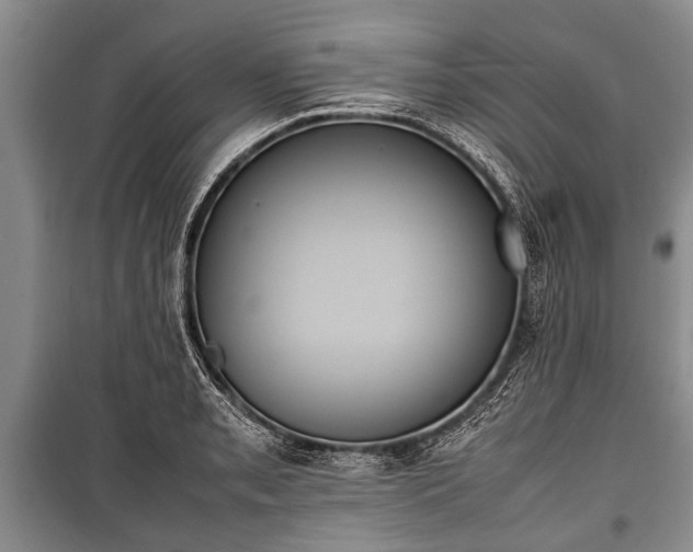 X0000100771085200806261538