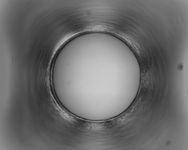X0000100771086200806261538