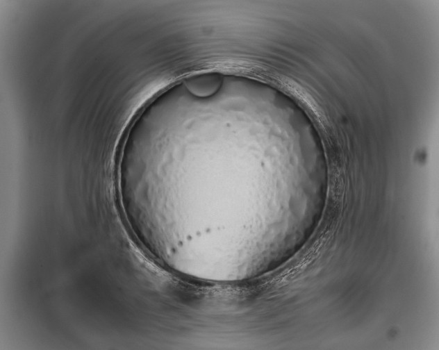 X0000100771087200806261538