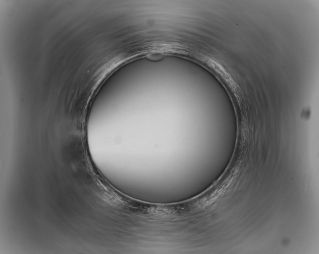 X0000100771089200806261537