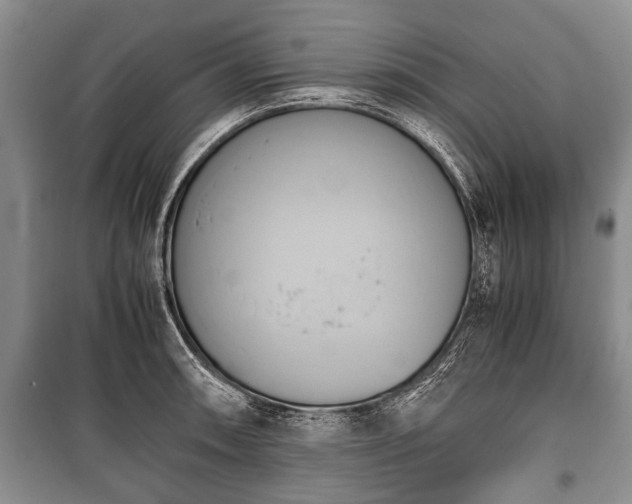 X0000100771090200806261537