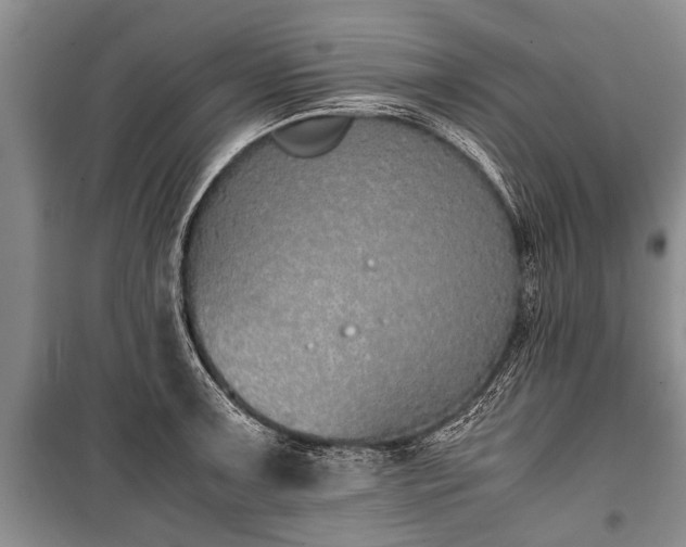X0000100771091200806261537