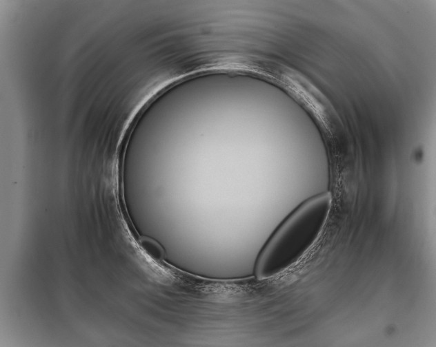 X0000100771092200806261537