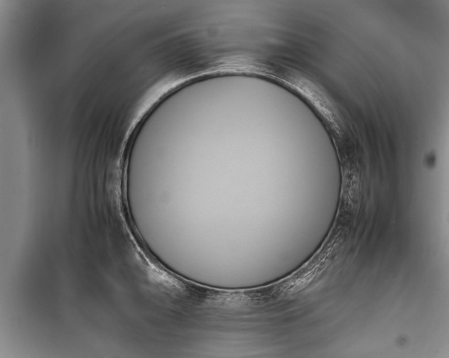 X0000100771094200806261537