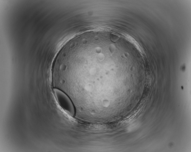 X0000100771095200806261537