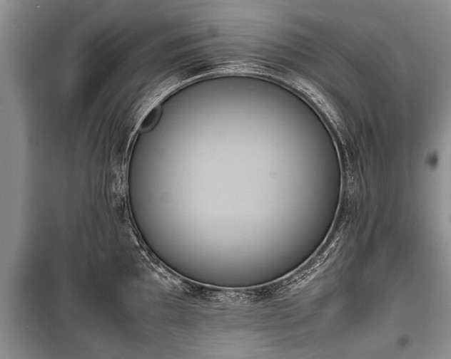 X0000100771097200806261537