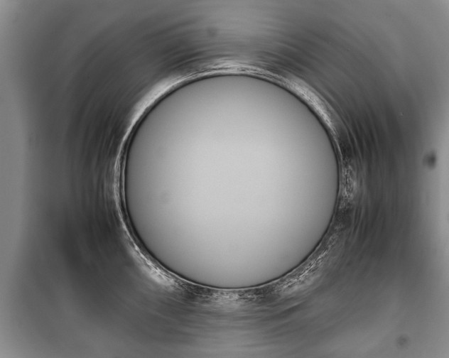 X0000100771098200806261537