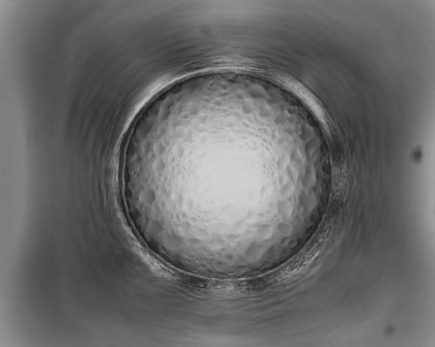 X0000100771099200806261537
