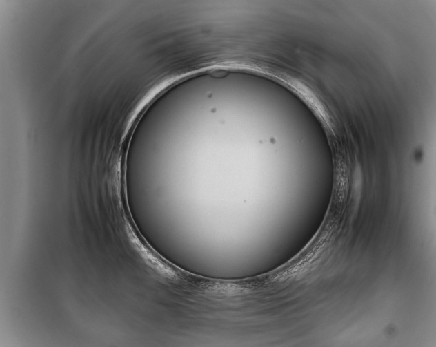 X0000100771100200806261537