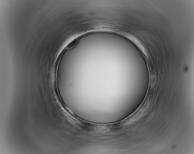 X0000100771101200806261537