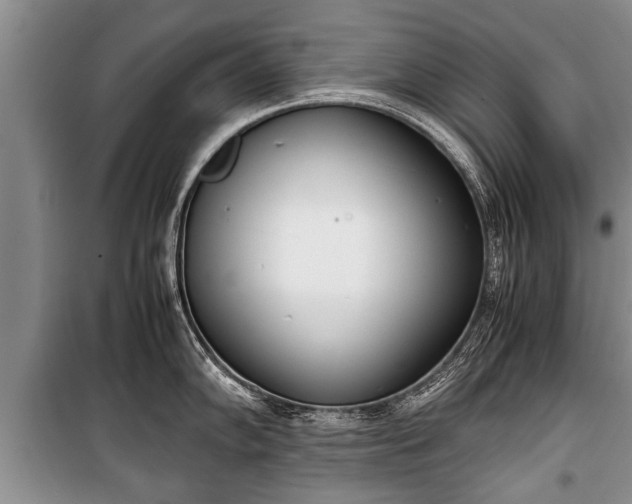 X0000100771102200806261537