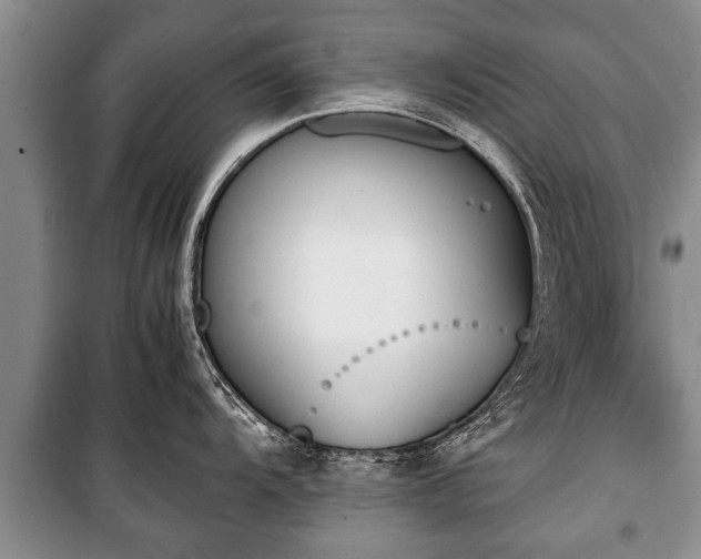 X0000100771104200806261537