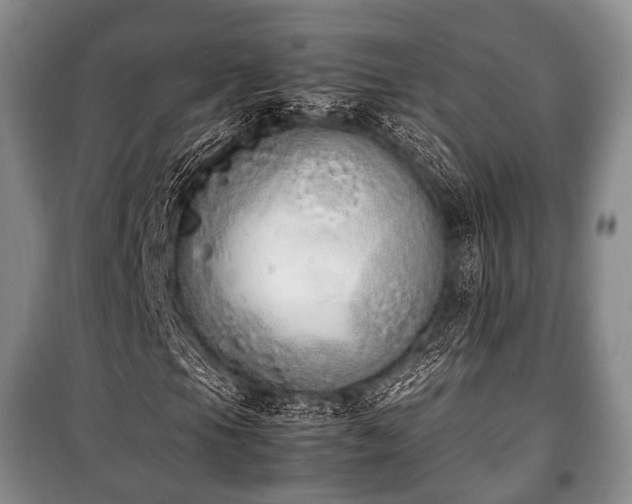 X0000100771105200806261537