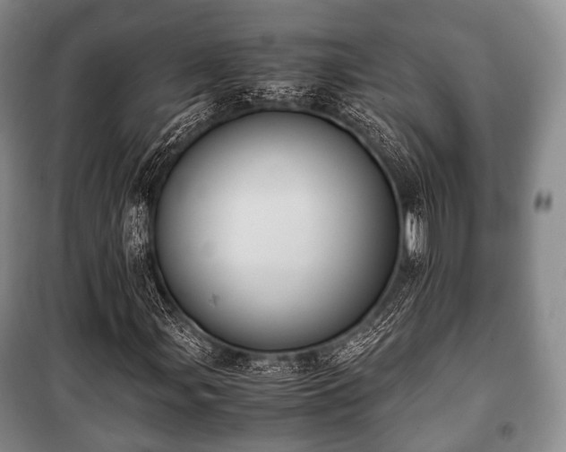 X0000100771107200806261537