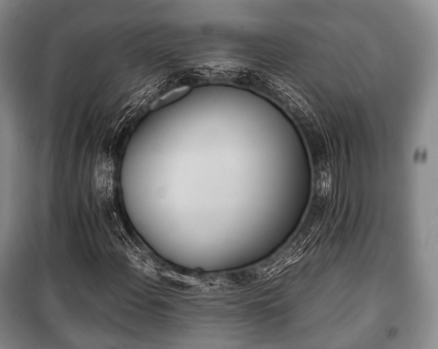 X0000100771108200806261537