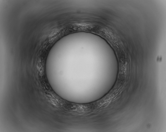 X0000100771109200806261537
