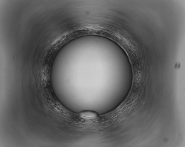 X0000100771110200806261537