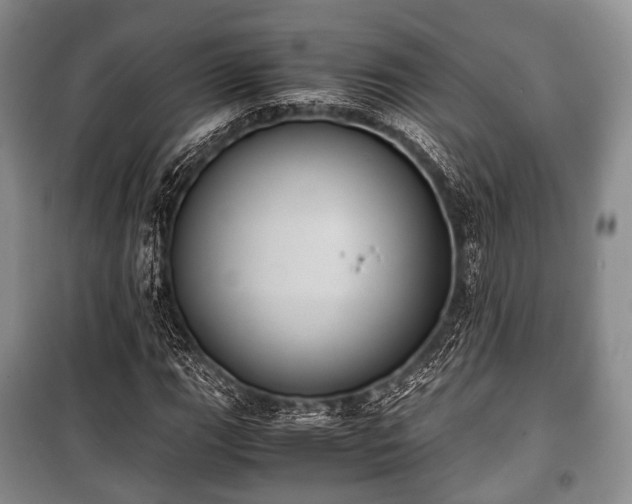 X0000100771111200806261537