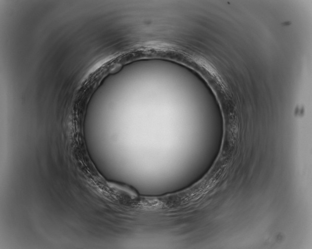X0000100771112200806261537