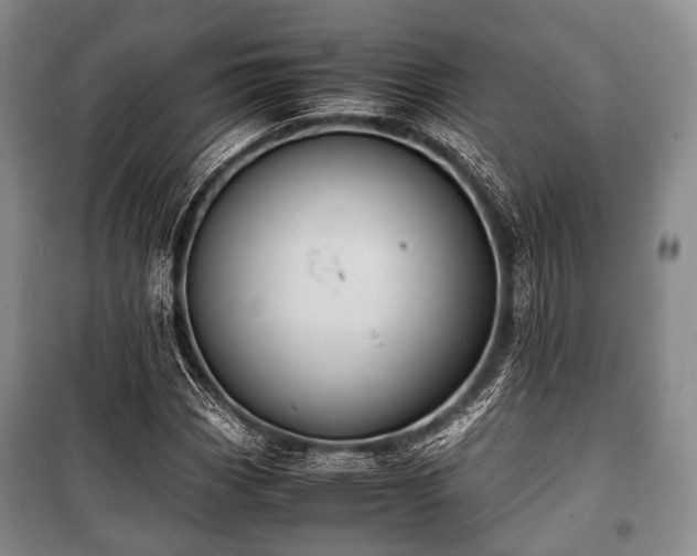 X0000100771113200806261537