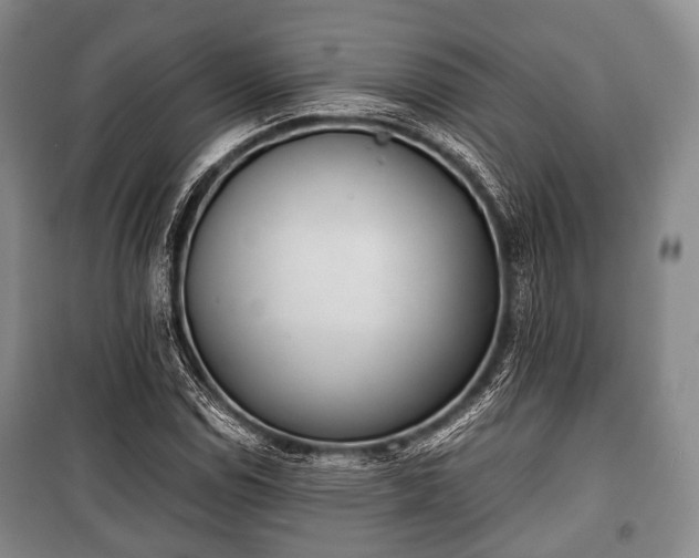 X0000100771114200806261537