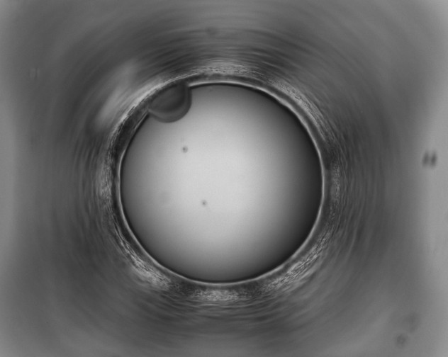 X0000100771115200806261537