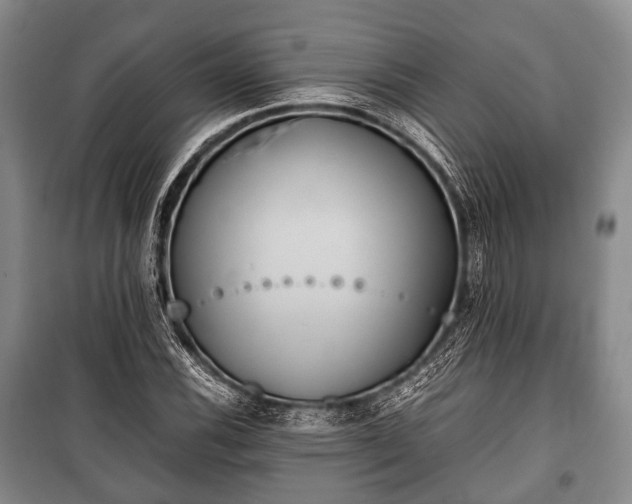 X0000100771116200806261537