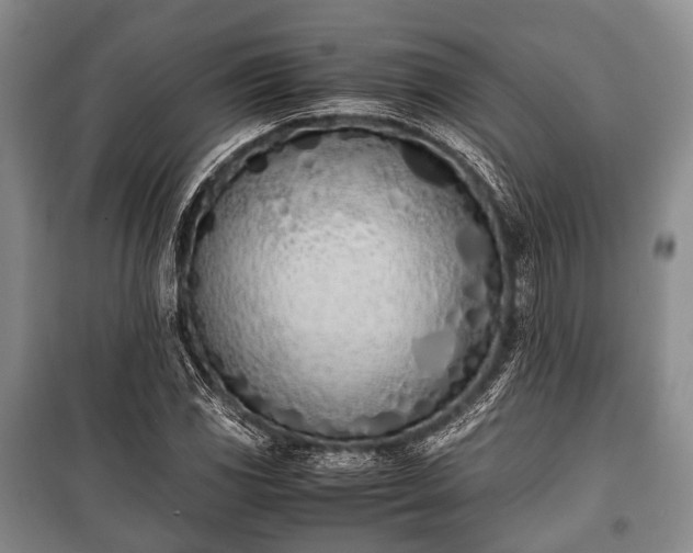 X0000100771117200806261537