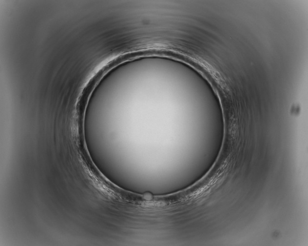 X0000100771118200806261537