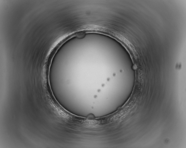 X0000100771120200806261537