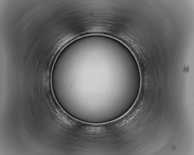 X0000100771121200806261537