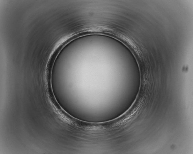 X0000100771122200806261537