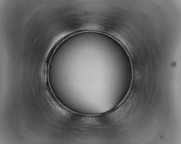 X0000100771123200806261537