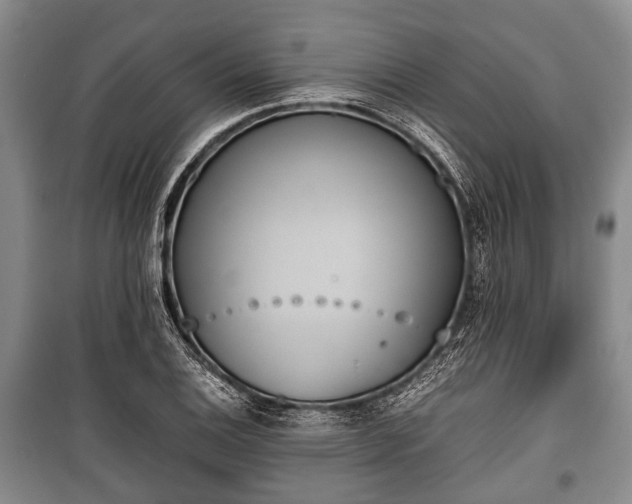X0000100771124200806261537