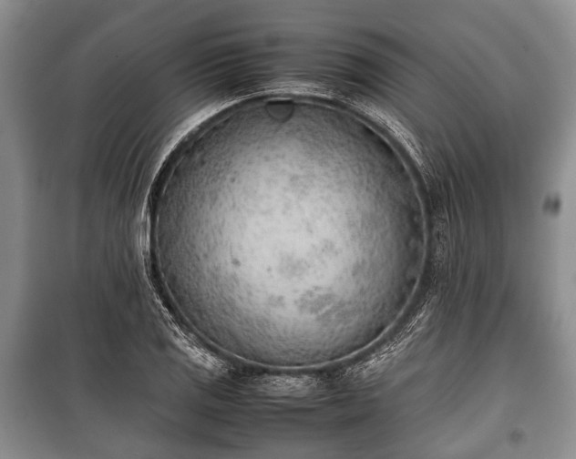 X0000100771125200806261537