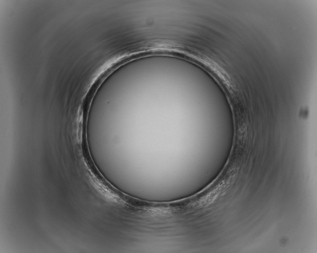 X0000100771126200806261537