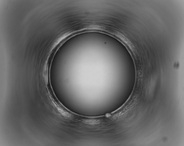 X0000100771127200806261537