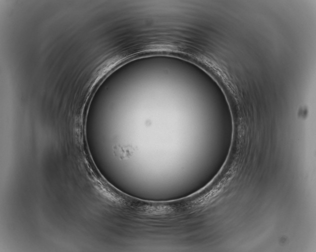 X0000100771129200806261537